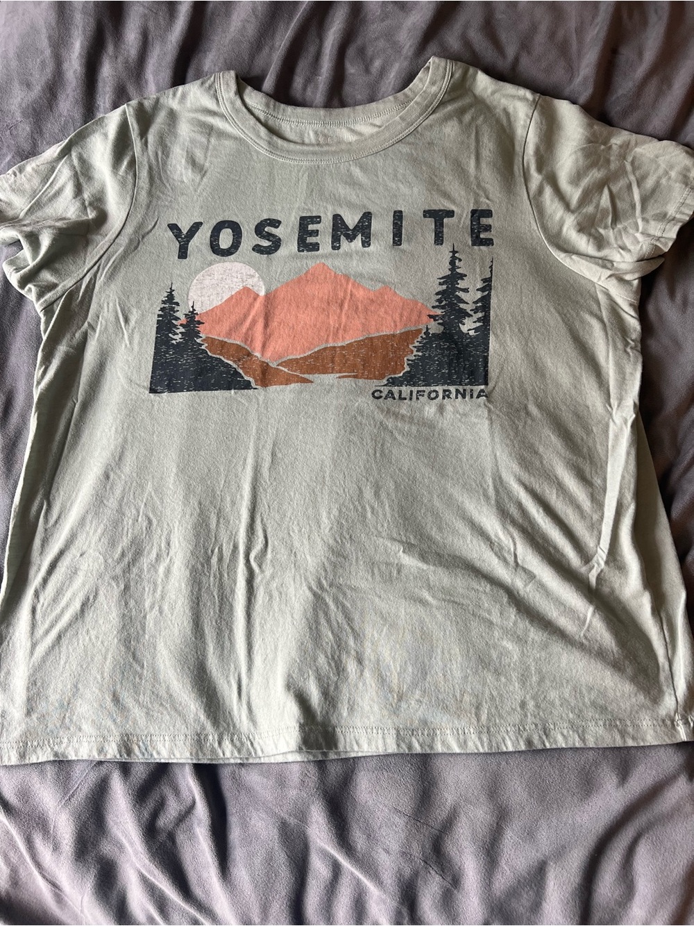 Zoe + Liv Sage Green Yosemite Graphic Tee with Peach and Brown Print